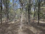 TBD Turkey Run - Photo 7