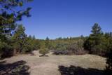 23251 Spirit Mountain Drive - Photo 10