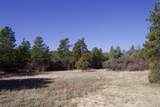 23251 Spirit Mountain Drive - Photo 11