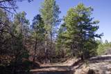 23251 Spirit Mountain Drive - Photo 12