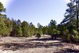 23251 Spirit Mountain Drive - Photo 13