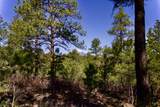 23251 Spirit Mountain Drive - Photo 14