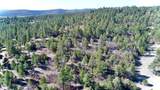 23251 Spirit Mountain Drive - Photo 19