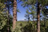 23251 Spirit Mountain Drive - Photo 2