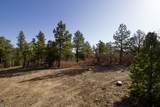 23251 Spirit Mountain Drive - Photo 20