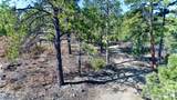 23251 Spirit Mountain Drive - Photo 30