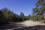 23251 Spirit Mountain Drive - Photo 35