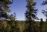 23251 Spirit Mountain Drive - Photo 37