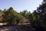 23251 Spirit Mountain Drive - Photo 38