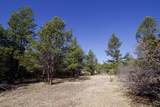 23251 Spirit Mountain Drive - Photo 42