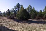 23251 Spirit Mountain Drive - Photo 44