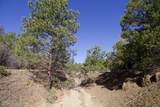 23251 Spirit Mountain Drive - Photo 45