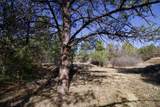 23251 Spirit Mountain Drive - Photo 46