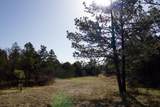 23251 Spirit Mountain Drive - Photo 47