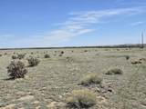 152 Turkey Ridge Ranch - Photo 13