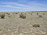 152 Turkey Ridge Ranch - Photo 14