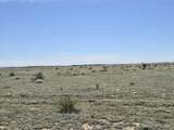 152 Turkey Ridge Ranch - Photo 16