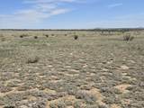 152 Turkey Ridge Ranch - Photo 7