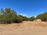 2658 County Road 521 - Photo 21