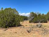 2658 County Road 521 - Photo 24