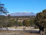 2658 County Road 521 - Photo 25