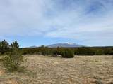2658 County Road 521 - Photo 27