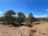 2658 County Road 521 - Photo 29