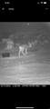 2658 County Road 521 - Photo 44