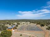 2658 County Road 521 - Photo 8