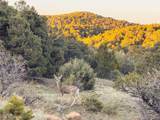 TBD Spanish Peaks Drive - Photo 7