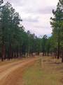 12012 Switchback Rd - Photo 13