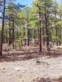 12012 Switchback Rd - Photo 14
