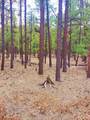 12012 Switchback Rd - Photo 15