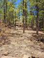 12012 Switchback Rd - Photo 16
