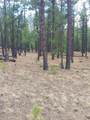 12012 Switchback Rd - Photo 17