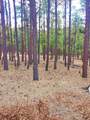 12012 Switchback Rd - Photo 18