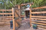 703 Francisco St - Photo 2