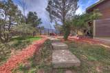 703 Francisco St - Photo 7