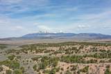 3616 Schieffelin Rd - Photo 46