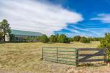 463 Leather Drive - Photo 46