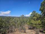 33031 Big Springs Overlook - Photo 10