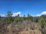 33031 Big Springs Overlook - Photo 11