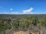 33031 Big Springs Overlook - Photo 12