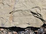 33031 Big Springs Overlook - Photo 14