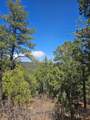 33031 Big Springs Overlook - Photo 15
