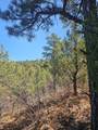 33031 Big Springs Overlook - Photo 16