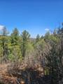 33031 Big Springs Overlook - Photo 17