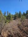 33031 Big Springs Overlook - Photo 18