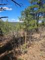 33031 Big Springs Overlook - Photo 19
