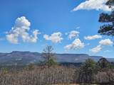 33031 Big Springs Overlook - Photo 20